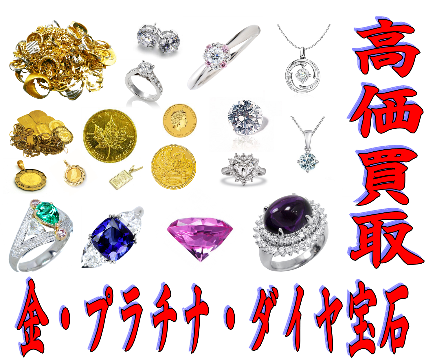 ���E�v���`�i����